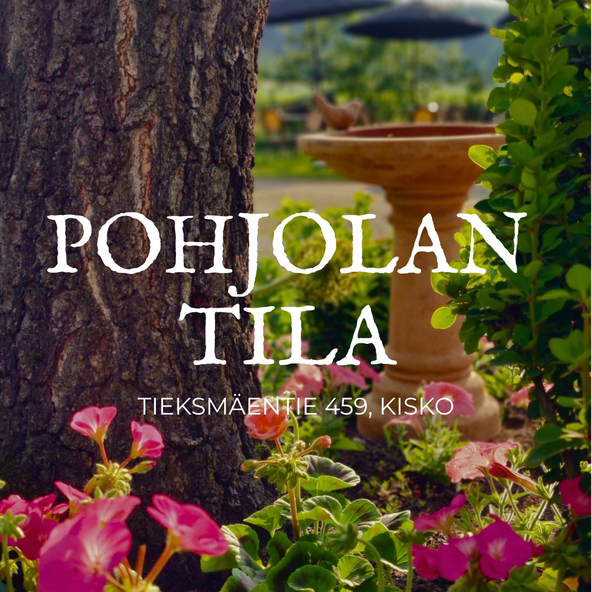 Pohjolan tila